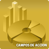 Campos de Acci�n